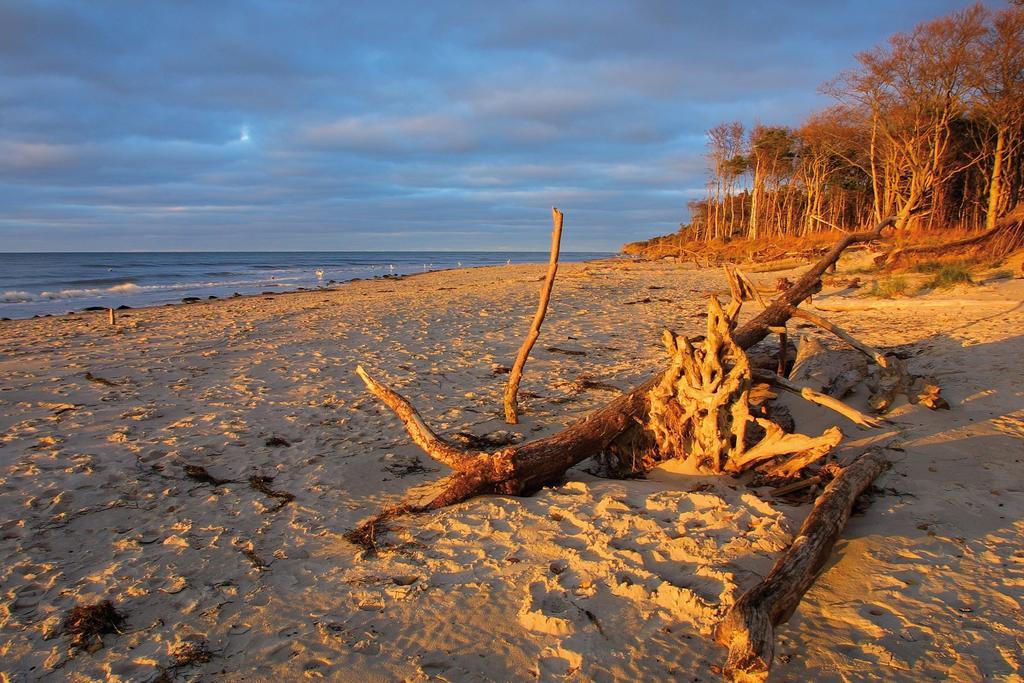Strandhotel Fischland Dierhagen Bagian luar foto
